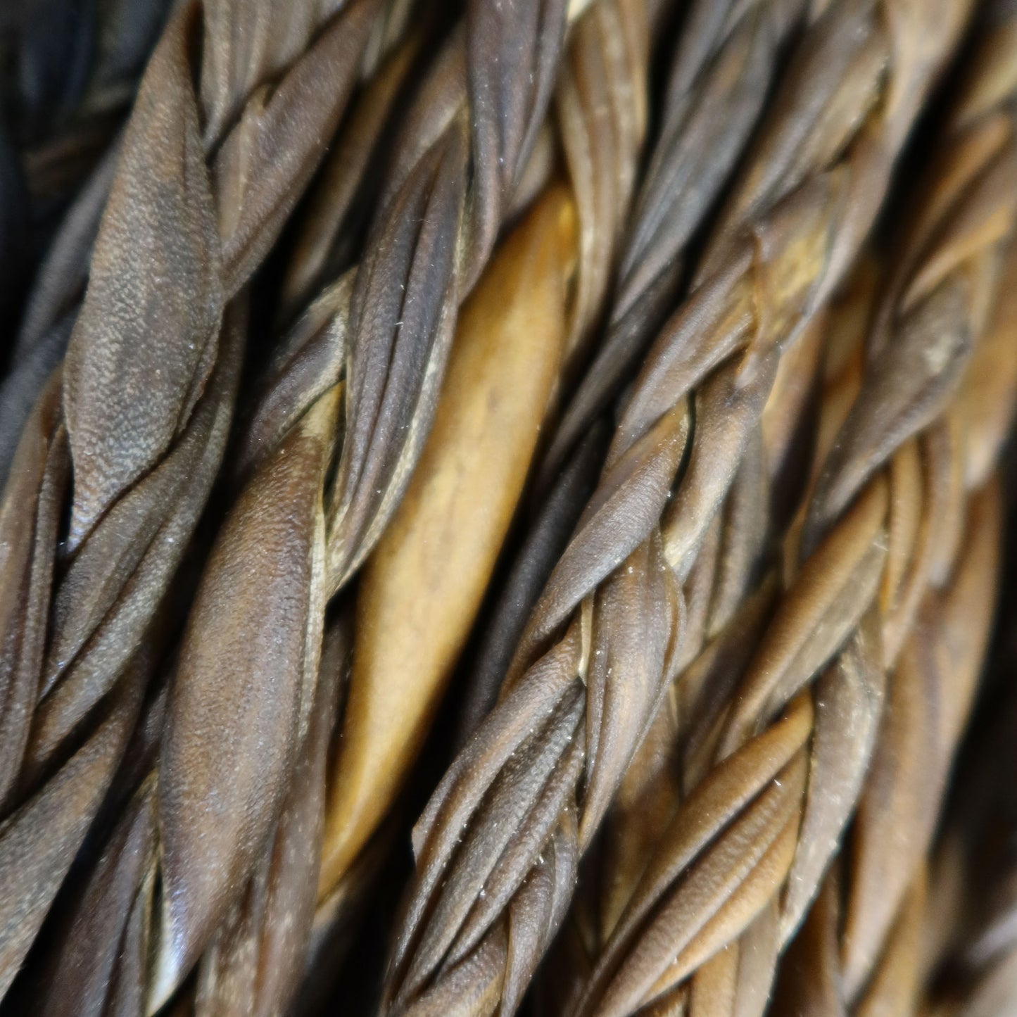 12" Lamb Collagen Braid - 5 Count